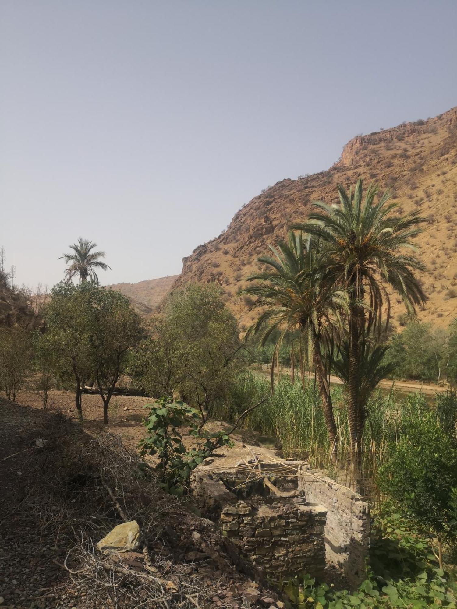 Auberge Kasbah Amoun Taliouine Luaran gambar